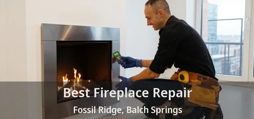Best Fireplace Repair Fossil Ridge, Balch Springs - TX