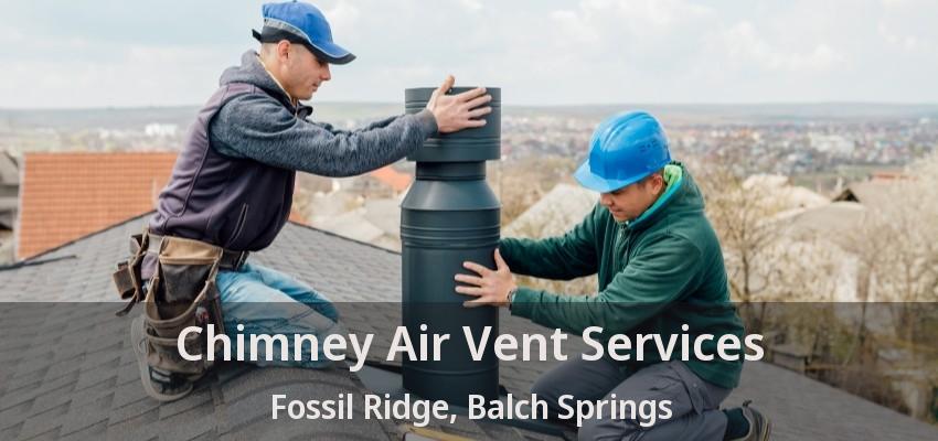Chimney Air Vent Services Fossil Ridge, Balch Springs - TX