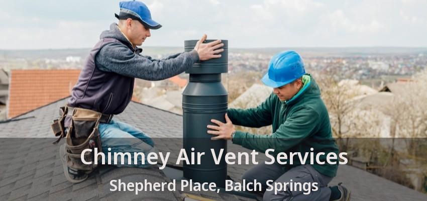 Chimney Air Vent Services Shepherd Place, Balch Springs - TX