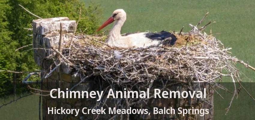 Chimney Animal Removal Hickory Creek Meadows, Balch Springs - TX