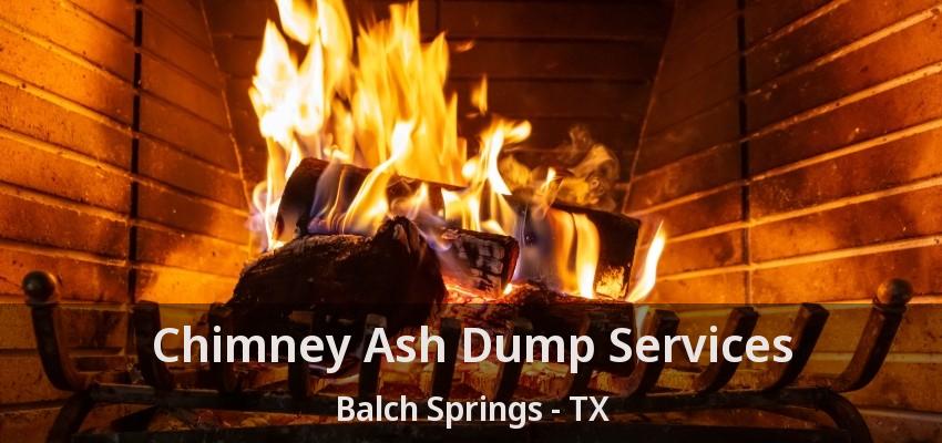 Chimney Ash Dump Services Balch Springs - TX