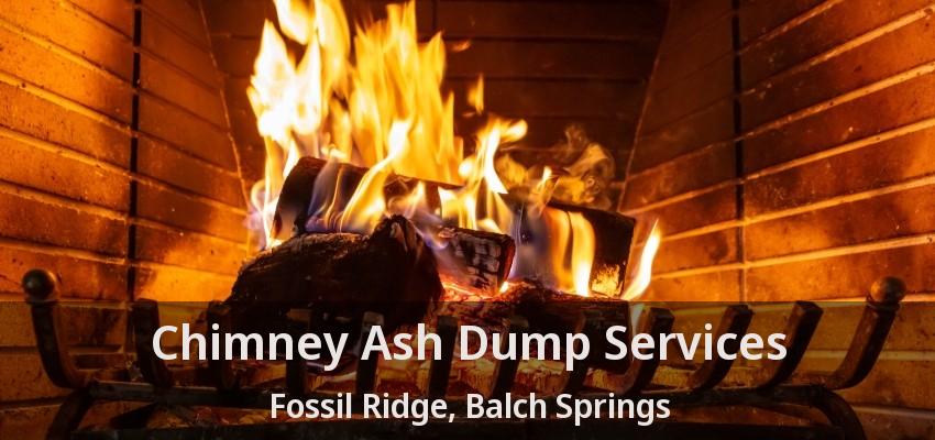 Chimney Ash Dump Services Fossil Ridge, Balch Springs - TX