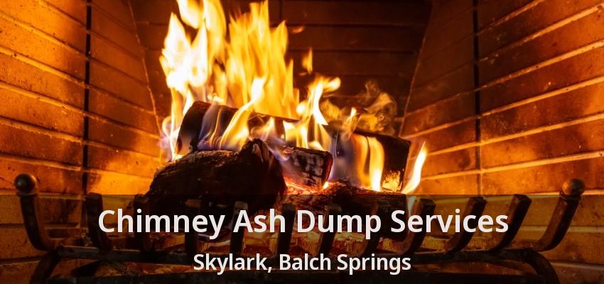 Chimney Ash Dump Services Skylark, Balch Springs - TX
