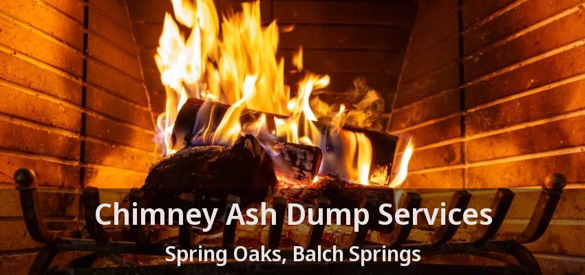 Chimney Ash Dump Services Spring Oaks, Balch Springs - TX