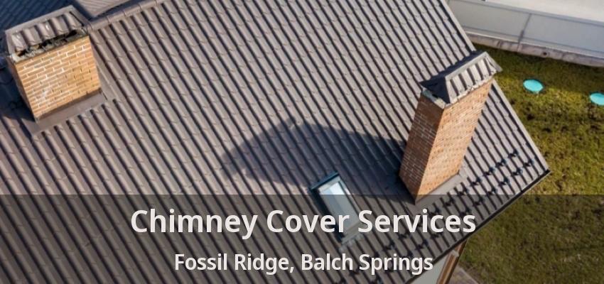 Chimney Cover Services Fossil Ridge, Balch Springs - TX