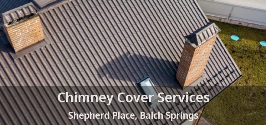 Chimney Cover Services Shepherd Place, Balch Springs - TX