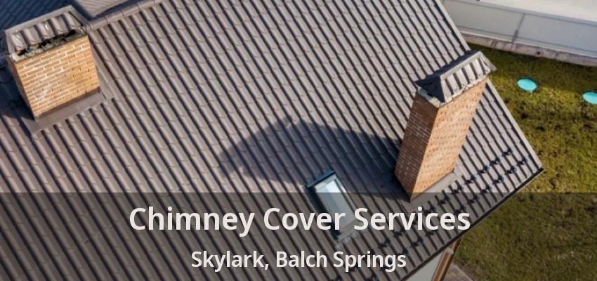 Chimney Cover Services Skylark, Balch Springs - TX