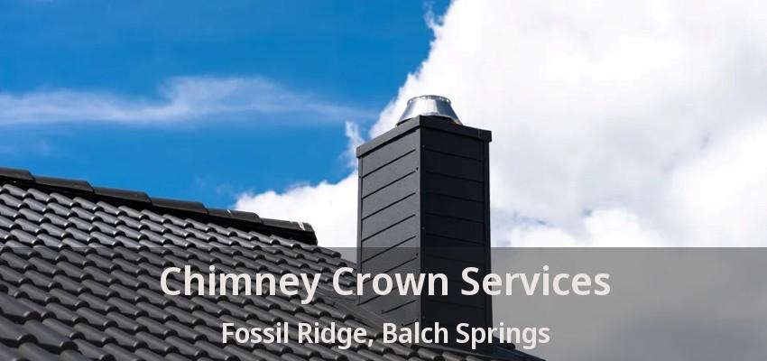 Chimney Crown Services Fossil Ridge, Balch Springs - TX