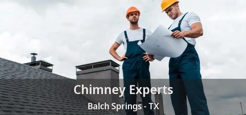 Chimney Experts Balch Springs - TX