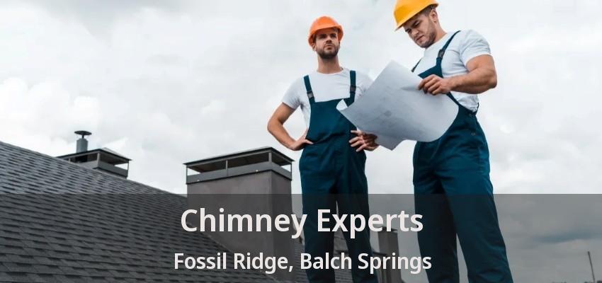 Chimney Experts Fossil Ridge, Balch Springs - TX