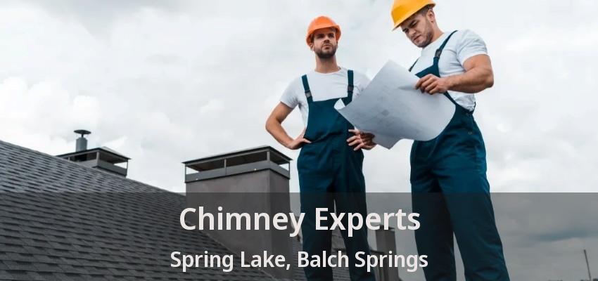 Chimney Experts Spring Lake, Balch Springs - TX
