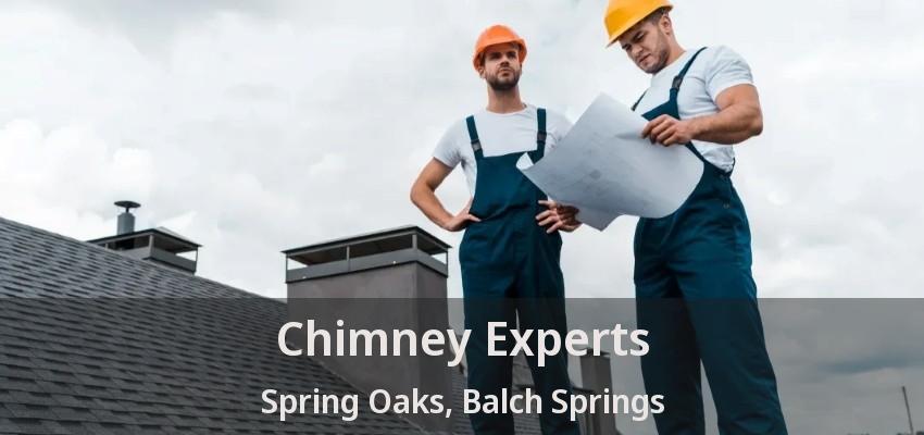 Chimney Experts Spring Oaks, Balch Springs - TX