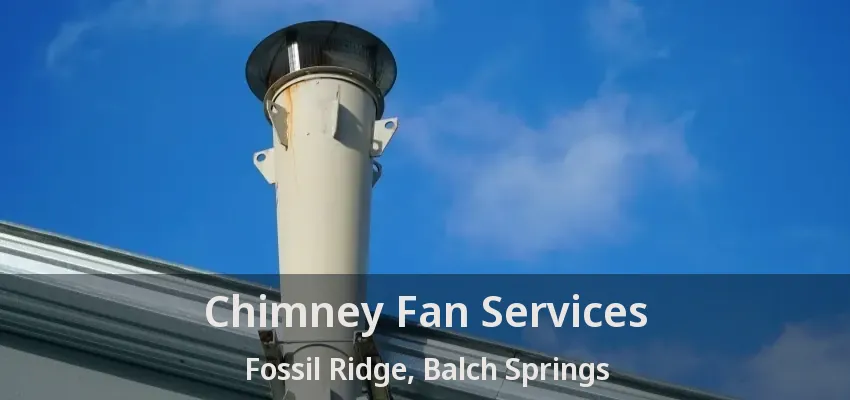 Chimney Fan Services Fossil Ridge, Balch Springs - TX
