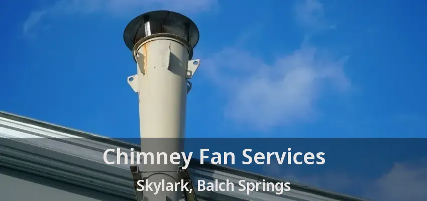 Chimney Fan Services Skylark, Balch Springs - TX