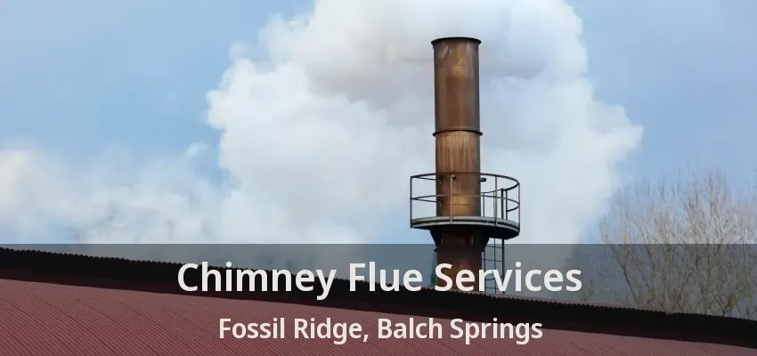 Chimney Flue Services Fossil Ridge, Balch Springs - TX