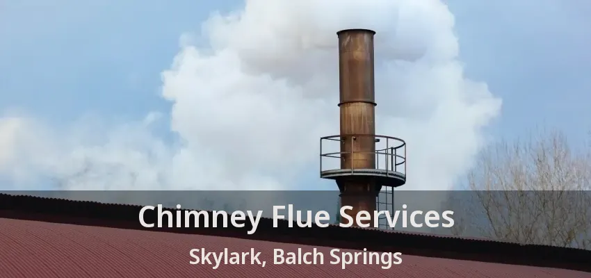 Chimney Flue Services Skylark, Balch Springs - TX