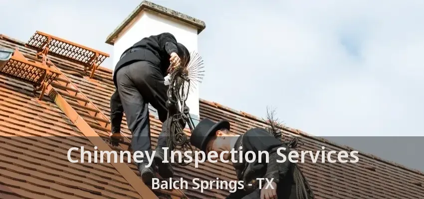 Chimney Inspection Services Balch Springs - TX