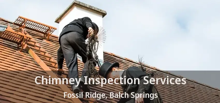 Chimney Inspection Services Fossil Ridge, Balch Springs - TX