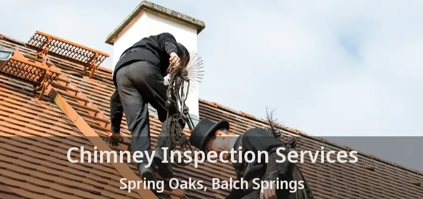 Chimney Inspection Services Spring Oaks, Balch Springs - TX
