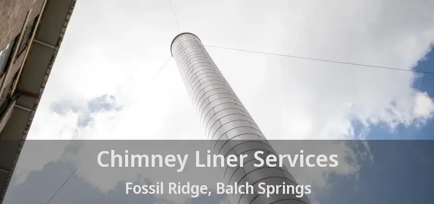 Chimney Liner Services Fossil Ridge, Balch Springs - TX