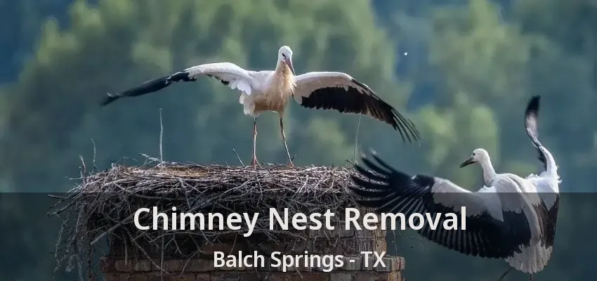 Chimney Nest Removal Balch Springs - TX