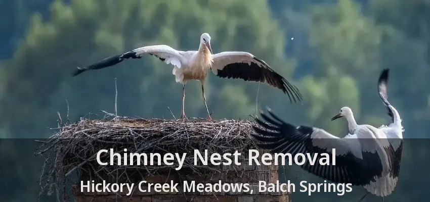 Chimney Nest Removal Hickory Creek Meadows, Balch Springs - TX