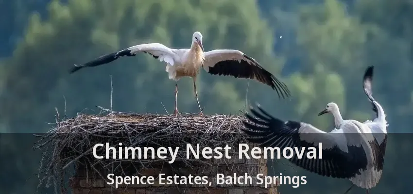 Chimney Nest Removal Spence Estates, Balch Springs - TX