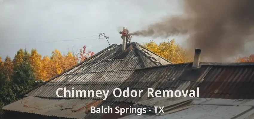 Chimney Odor Removal Balch Springs - TX