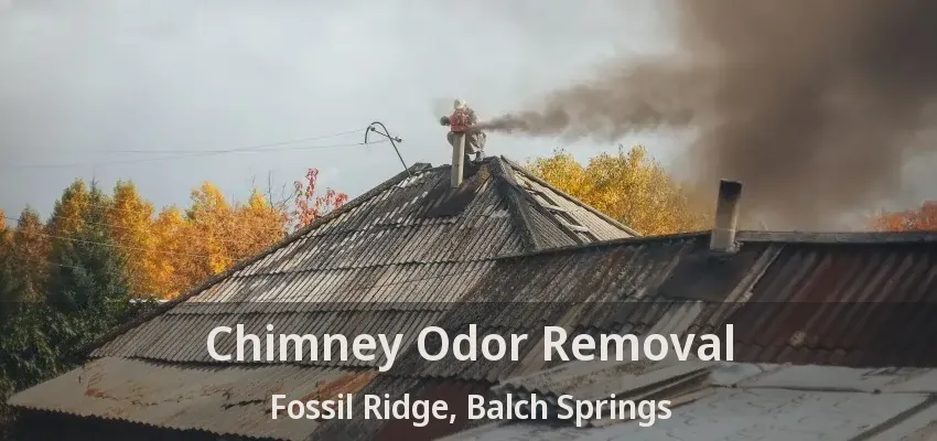 Chimney Odor Removal Fossil Ridge, Balch Springs - TX