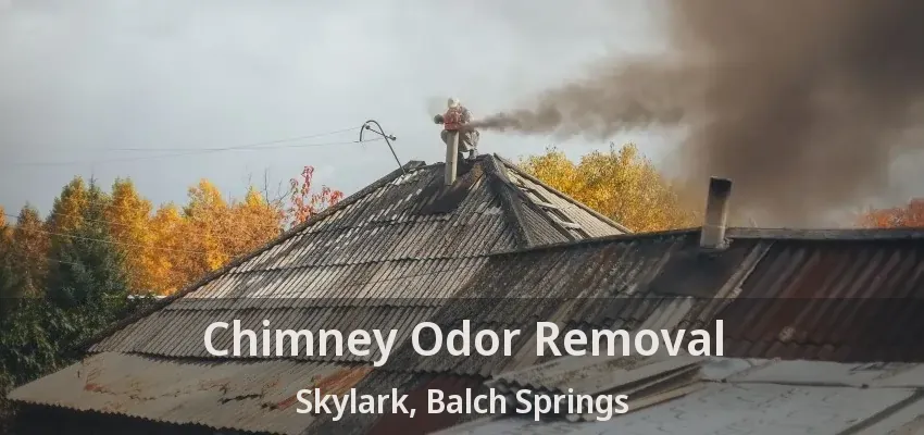 Chimney Odor Removal Skylark, Balch Springs - TX