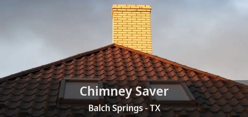 Chimney Saver Balch Springs - TX
