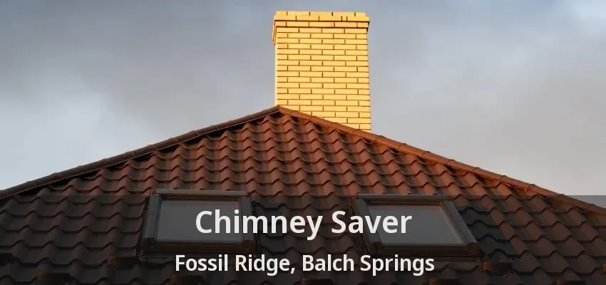 Chimney Saver Fossil Ridge, Balch Springs - TX
