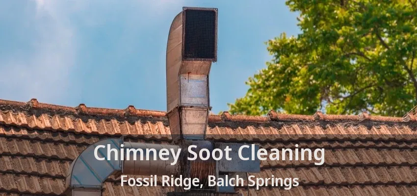 Chimney Soot Cleaning Fossil Ridge, Balch Springs - TX