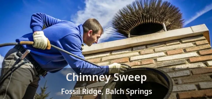 Chimney Sweep Fossil Ridge, Balch Springs - TX