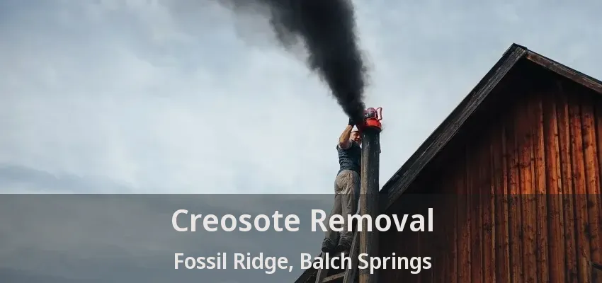 Creosote Removal Fossil Ridge, Balch Springs - TX
