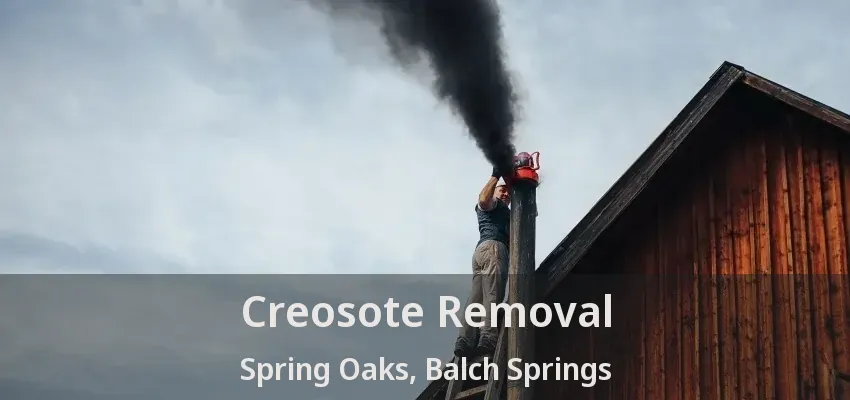 Creosote Removal Spring Oaks, Balch Springs - TX