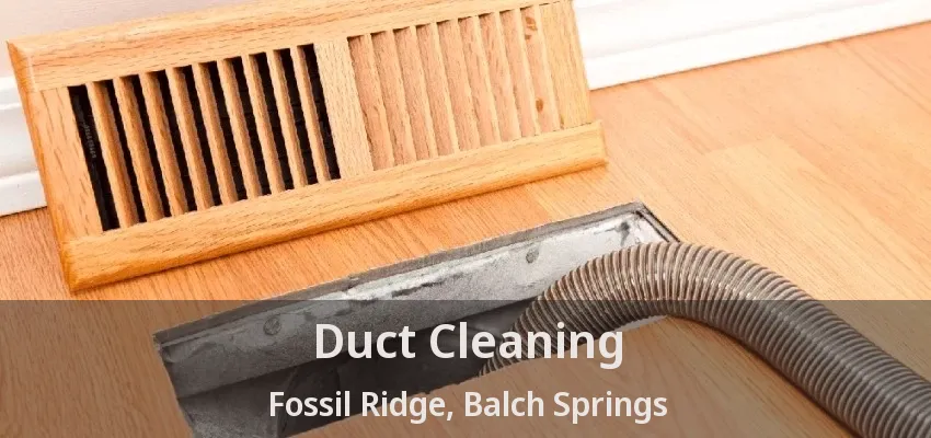 Duct Cleaning Fossil Ridge, Balch Springs - TX