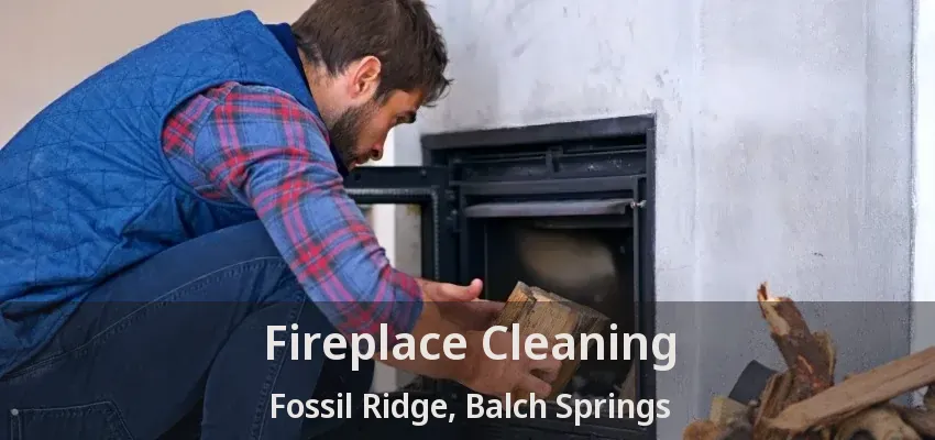 Fireplace Cleaning Fossil Ridge, Balch Springs - TX
