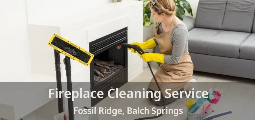 Fireplace Cleaning Service Fossil Ridge, Balch Springs - TX