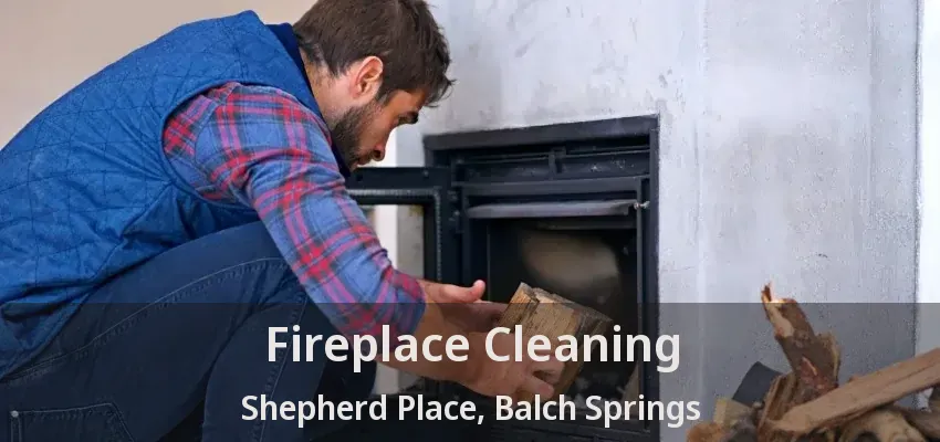 Fireplace Cleaning Shepherd Place, Balch Springs - TX