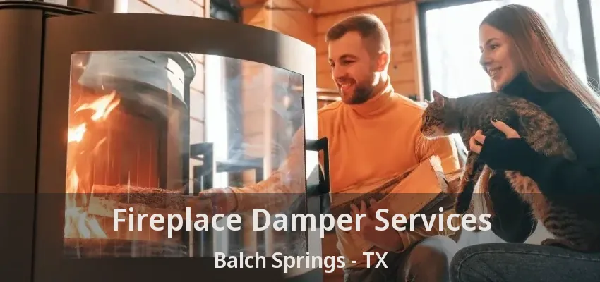 Fireplace Damper Services Balch Springs - TX