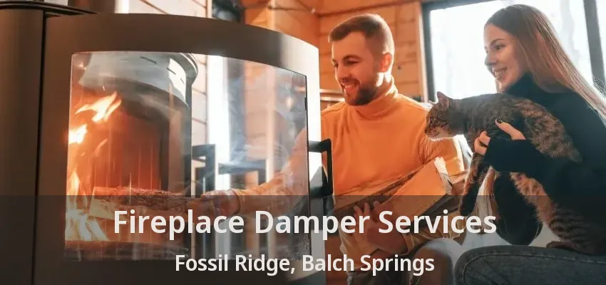 Fireplace Damper Services Fossil Ridge, Balch Springs - TX