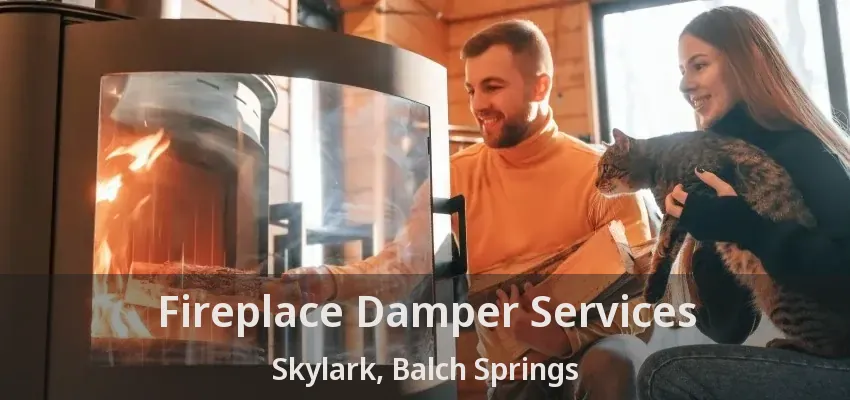 Fireplace Damper Services Skylark, Balch Springs - TX