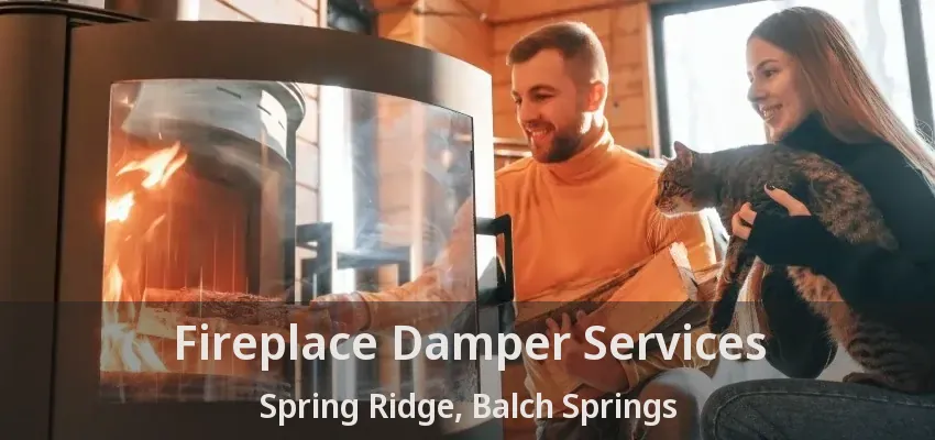 Fireplace Damper Services Spring Ridge, Balch Springs - TX