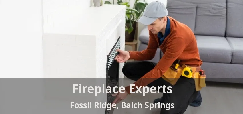Fireplace Experts Fossil Ridge, Balch Springs - TX