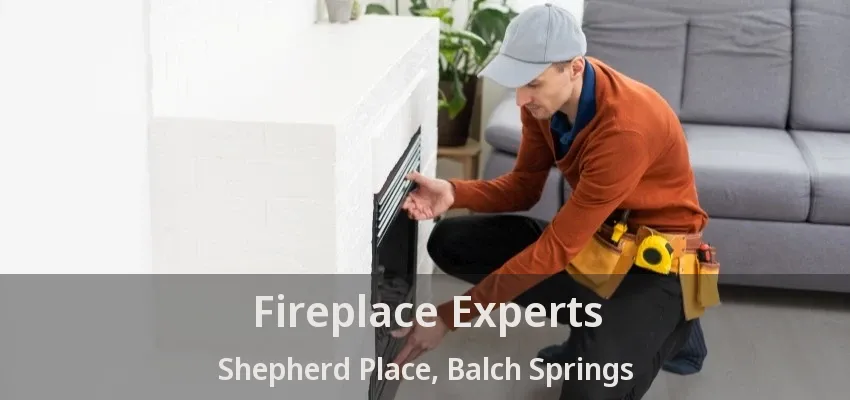 Fireplace Experts Shepherd Place, Balch Springs - TX