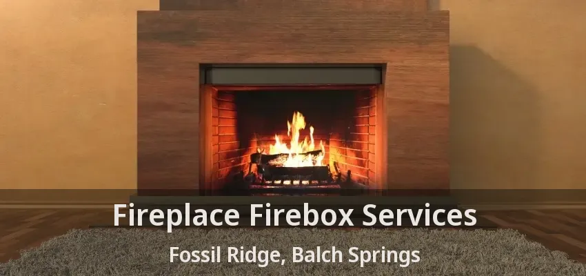 Fireplace Firebox Services Fossil Ridge, Balch Springs - TX