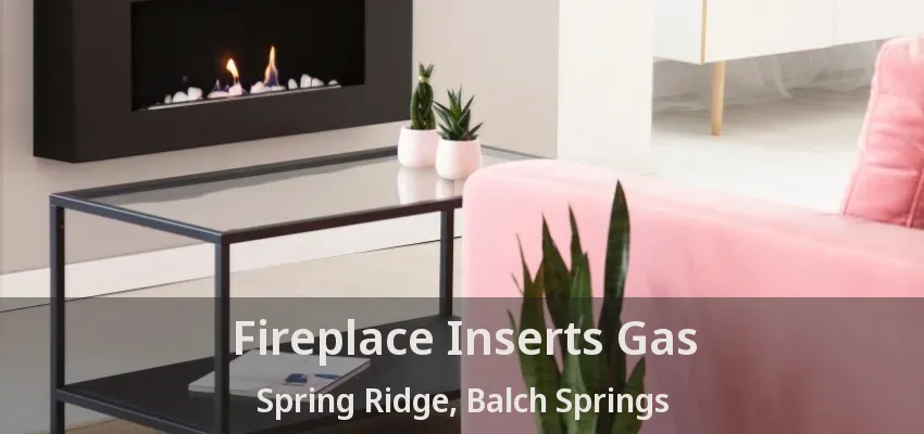 Fireplace Inserts Gas Spring Ridge, Balch Springs - TX