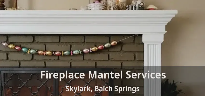 Fireplace Mantel Services Skylark, Balch Springs - TX