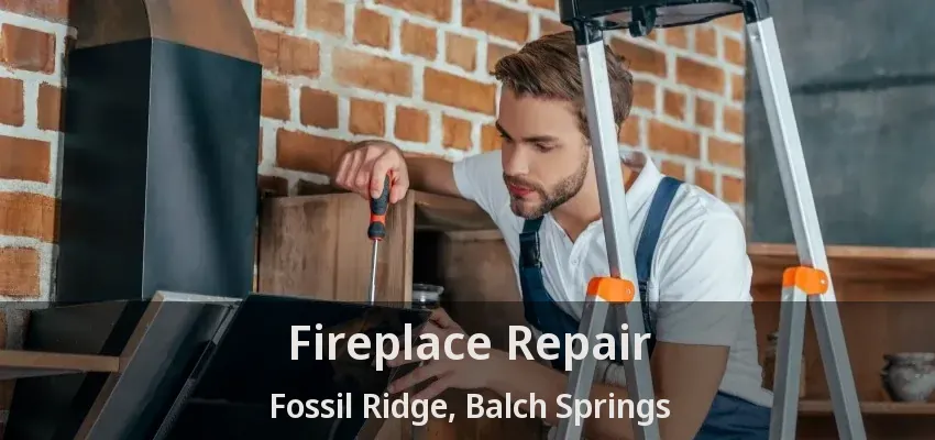 Fireplace Repair Fossil Ridge, Balch Springs - TX